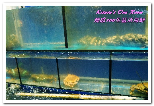 燒惑100生猛活海鮮(中和熱炒)：中和熱炒．具有特色、注重細節處理的熱炒海産攤──燒惑100生猛活海鮮