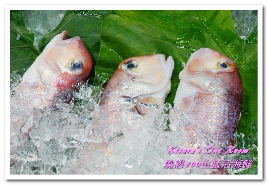 燒惑100生猛活海鮮(中和熱炒)：中和熱炒．具有特色、注重細節處理的熱炒海産攤──燒惑100生猛活海鮮