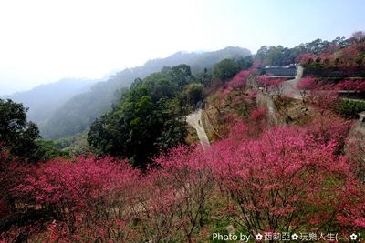 224955250_副本.jpg 224955250_副本.jpg