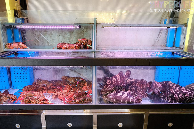 @強生與小吠的Hyper人蔘~