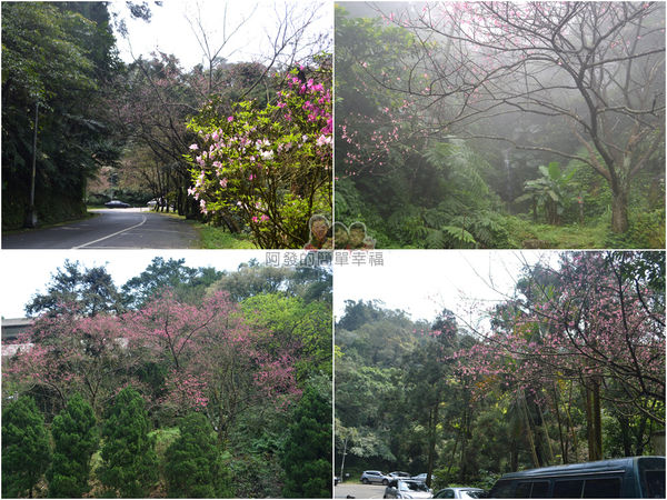 珍饌玉膳05-沿路風情