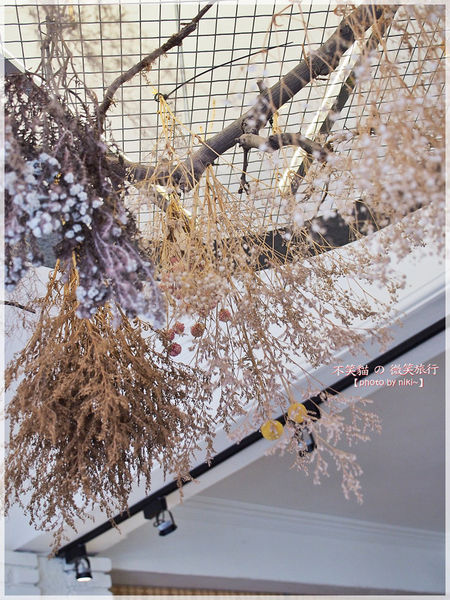 熨斗目花珈琲 WUDAO CAFE