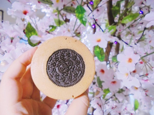 DSC09483.JPG DSC09483.JPG