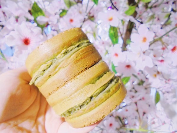 DSC09487.JPG DSC09487.JPG