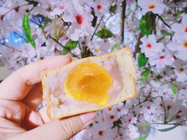 DSC09479.JPG DSC09479.JPG