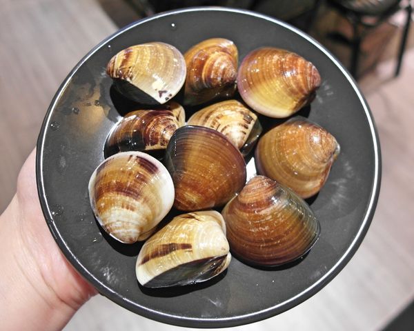 XO shabu shabu:❤️美食❤️【新北。永和】XO shabu shabu ★頂級安格斯肋眼牛肉/手掌大鮮紅肉片/愛評體驗團