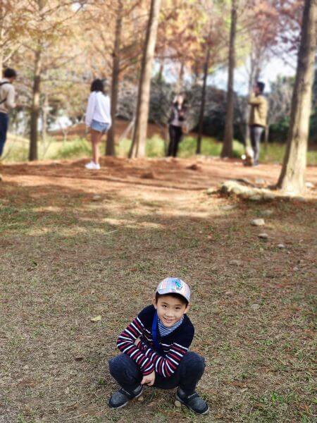 新社莊園古堡 一隅