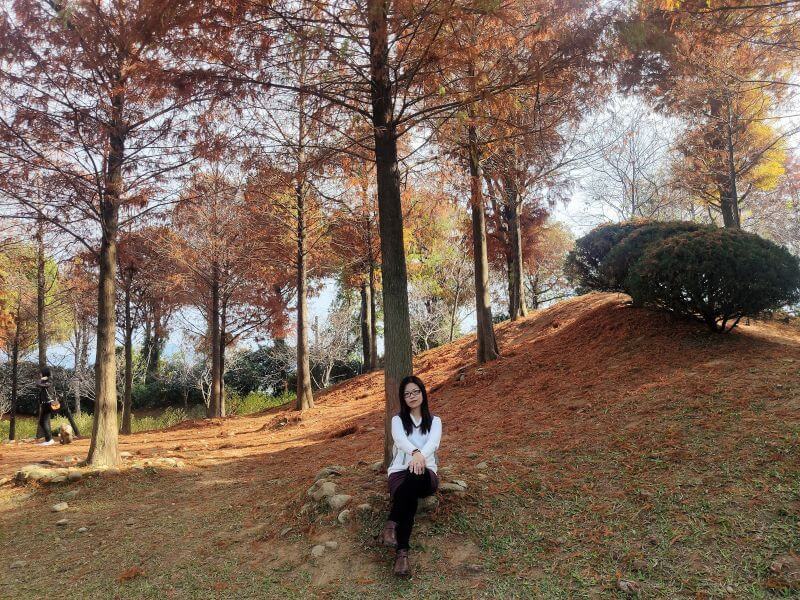 新社莊園古堡 一隅