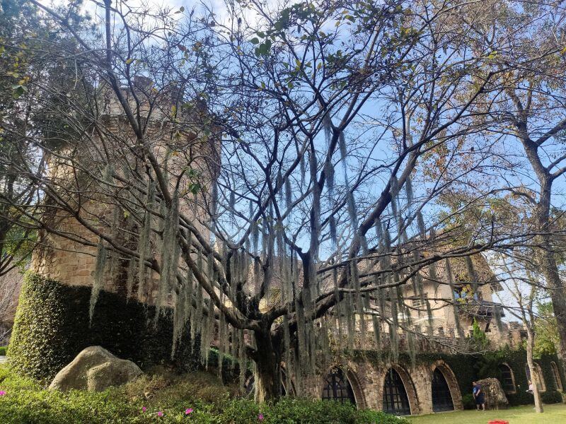 新社莊園古堡 一隅