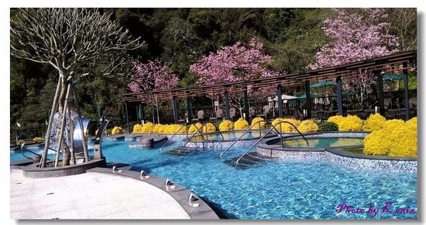 P_20180310_142957 P_20180310_142957