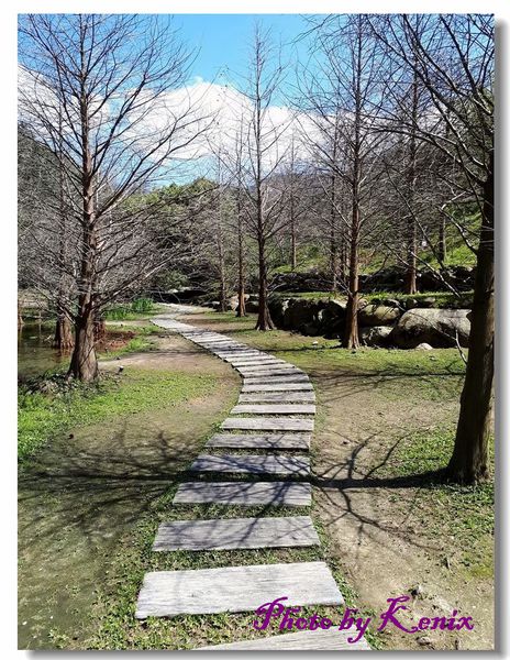 20180310_131324 20180310_131324