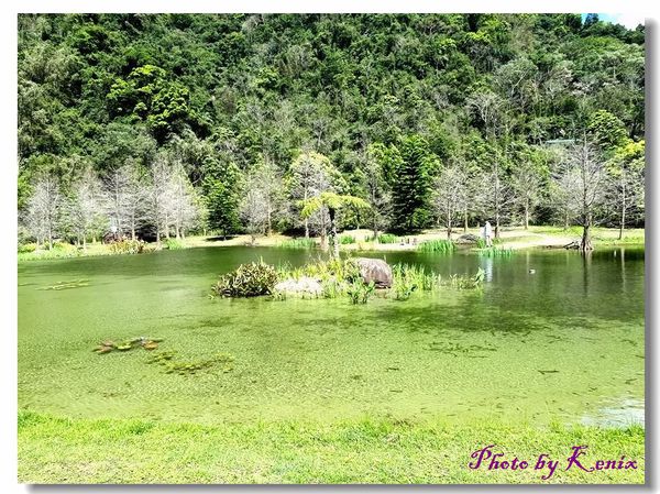 20180310_131303 20180310_131303