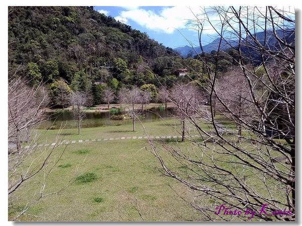 P_20180310_125542 P_20180310_125542