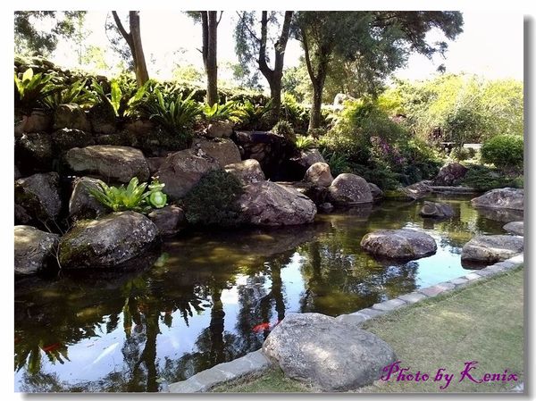 P_20180310_124550 P_20180310_124550