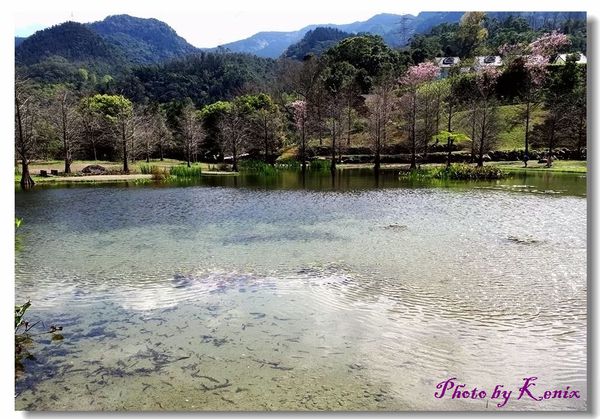 20180310_130305 20180310_130305