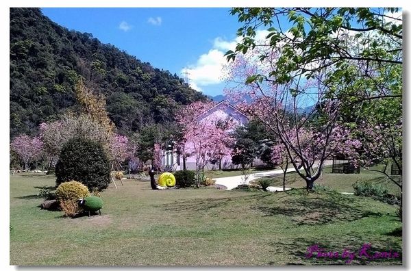 P_20180310_122357 P_20180310_122357