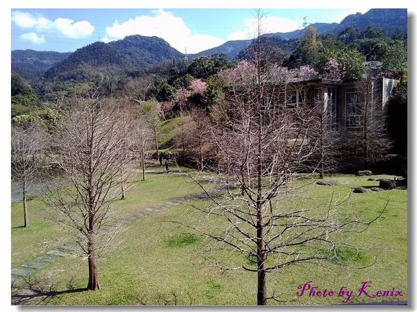 P_20180310_141459 P_20180310_141459