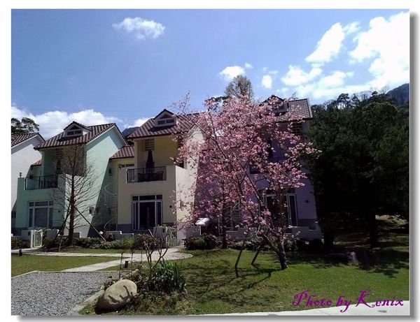 P_20180310_122732 P_20180310_122732