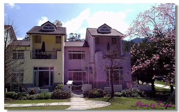 P_20180310_122829 P_20180310_122829