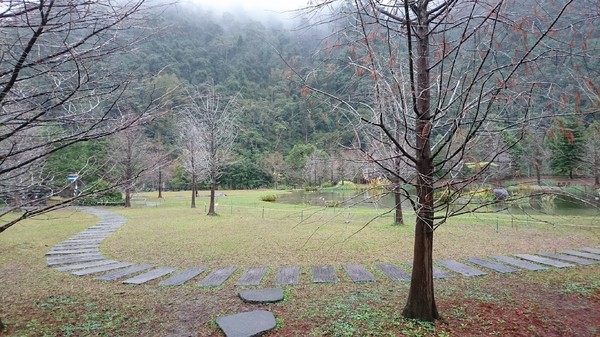 苗栗南庄雲水度假森林：苗栗南庄~雲水度假森林~落羽松祕境~世外桃源般美景~放鬆身心享受大自然的洗滌吧~