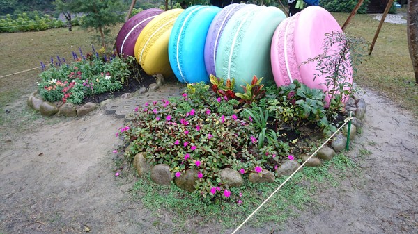 苗栗南庄雲水度假森林：苗栗南庄~雲水度假森林~落羽松祕境~世外桃源般美景~放鬆身心享受大自然的洗滌吧~