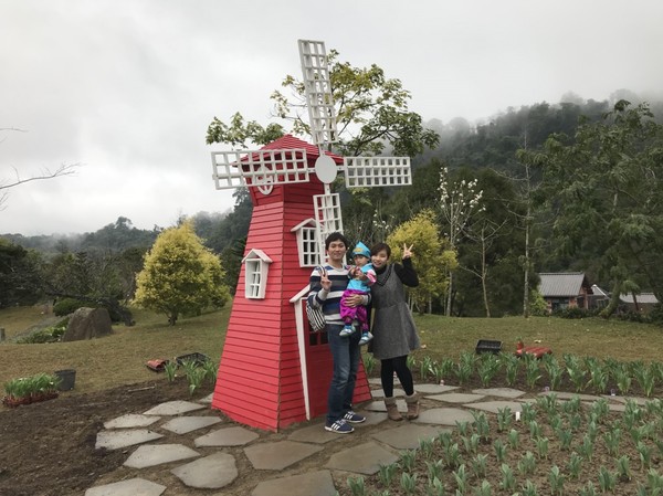 苗栗南庄雲水度假森林：苗栗南庄~雲水度假森林~落羽松祕境~世外桃源般美景~放鬆身心享受大自然的洗滌吧~
