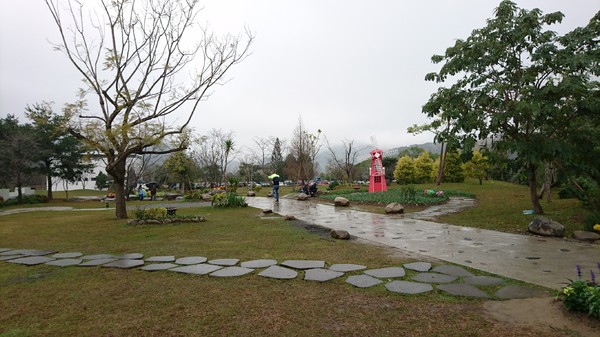 苗栗南庄雲水度假森林：苗栗南庄~雲水度假森林~落羽松祕境~世外桃源般美景~放鬆身心享受大自然的洗滌吧~