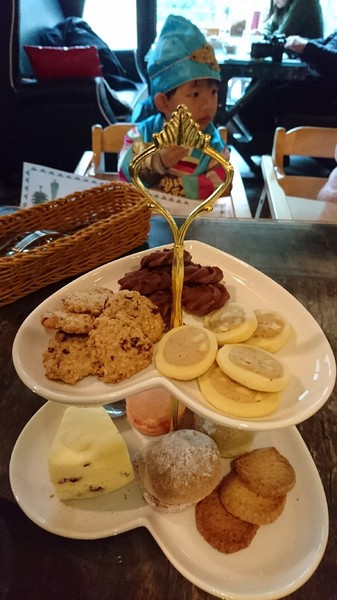 苗栗南庄雲水度假森林：苗栗南庄~雲水度假森林~落羽松祕境~世外桃源般美景~放鬆身心享受大自然的洗滌吧~