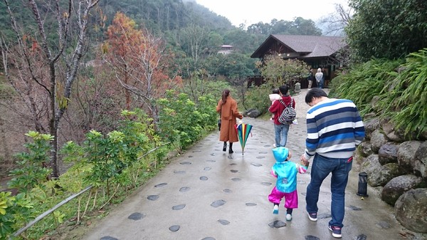 苗栗南庄雲水度假森林：苗栗南庄~雲水度假森林~落羽松祕境~世外桃源般美景~放鬆身心享受大自然的洗滌吧~