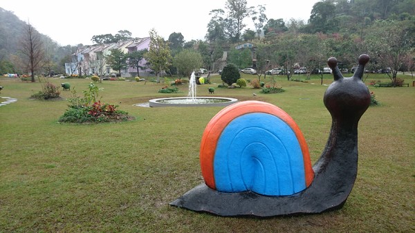 苗栗南庄雲水度假森林：苗栗南庄~雲水度假森林~落羽松祕境~世外桃源般美景~放鬆身心享受大自然的洗滌吧~