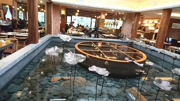 苗栗南庄雲水度假森林：苗栗南庄~雲水度假森林~落羽松祕境~世外桃源般美景~放鬆身心享受大自然的洗滌吧~