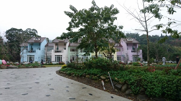 苗栗南庄雲水度假森林：苗栗南庄~雲水度假森林~落羽松祕境~世外桃源般美景~放鬆身心享受大自然的洗滌吧~