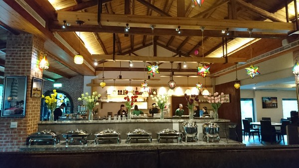 苗栗南庄雲水度假森林：苗栗南庄~雲水度假森林~落羽松祕境~世外桃源般美景~放鬆身心享受大自然的洗滌吧~