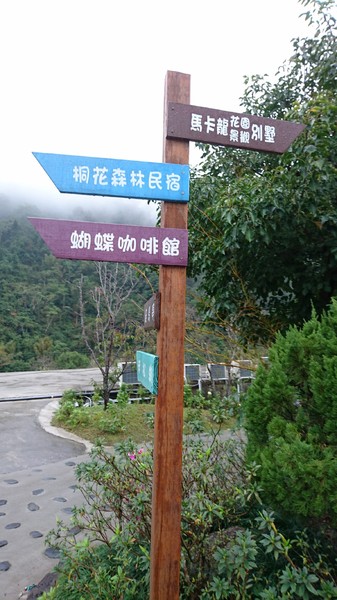 苗栗南庄雲水度假森林：苗栗南庄~雲水度假森林~落羽松祕境~世外桃源般美景~放鬆身心享受大自然的洗滌吧~