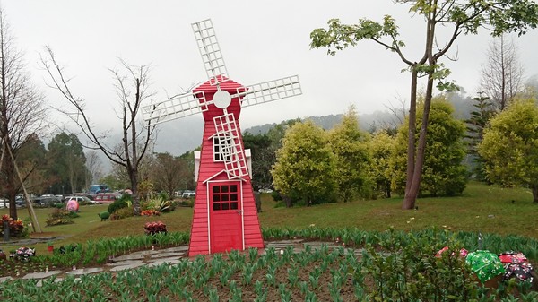 苗栗南庄雲水度假森林：苗栗南庄~雲水度假森林~落羽松祕境~世外桃源般美景~放鬆身心享受大自然的洗滌吧~