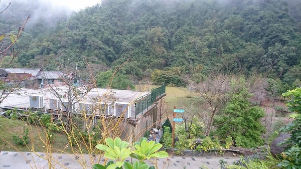 苗栗南庄雲水度假森林：苗栗南庄~雲水度假森林~落羽松祕境~世外桃源般美景~放鬆身心享受大自然的洗滌吧~