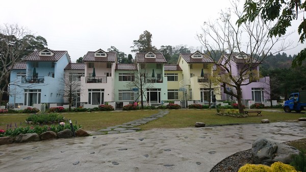 苗栗南庄雲水度假森林：苗栗南庄~雲水度假森林~落羽松祕境~世外桃源般美景~放鬆身心享受大自然的洗滌吧~