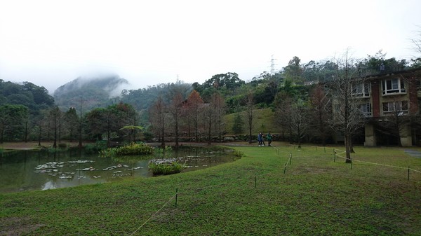 苗栗南庄雲水度假森林：苗栗南庄~雲水度假森林~落羽松祕境~世外桃源般美景~放鬆身心享受大自然的洗滌吧~