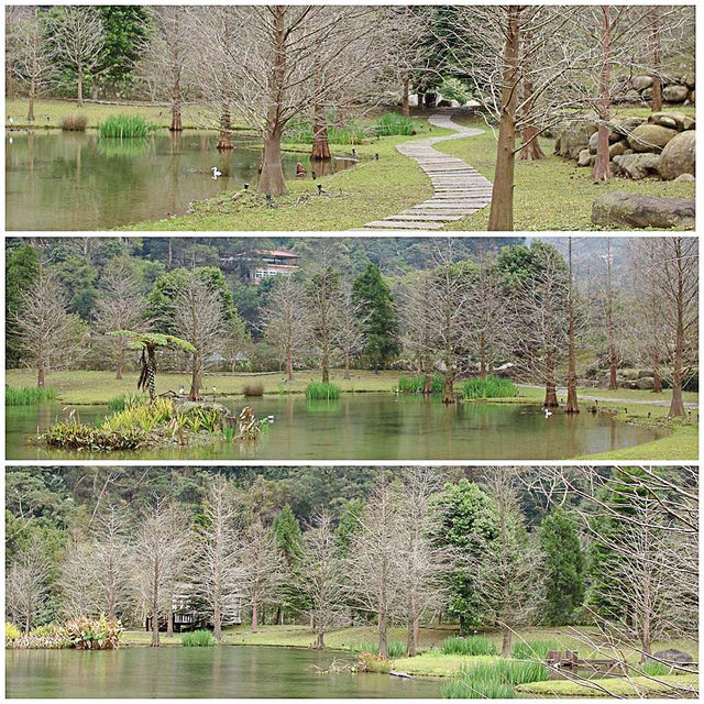 17467610_120300002749522433_1650811962_n