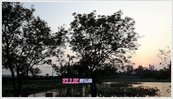 15644816_120300001193606455_1443183859_n