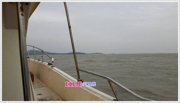 15592260_120300001199271104_759915441_n