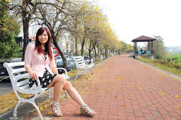 嘉義軍輝橋黃風鈴花: 【嘉義景點】八掌溪畔軍輝橋堤防黃風鈴花~浪漫的金黃色大道