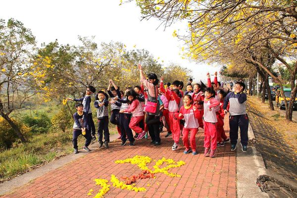 嘉義軍輝橋黃風鈴花: 【嘉義景點】八掌溪畔軍輝橋堤防黃風鈴花~浪漫的金黃色大道
