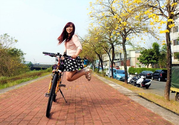 嘉義軍輝橋黃風鈴花: 【嘉義景點】八掌溪畔軍輝橋堤防黃風鈴花~浪漫的金黃色大道