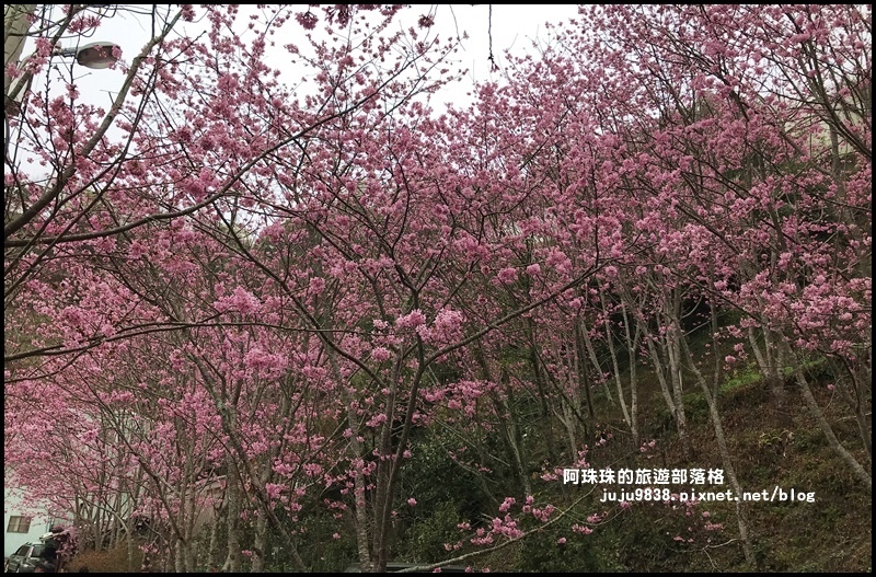 櫻木花道43.JPG