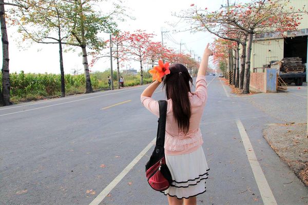 木棉花道： 【台南景點】將軍漚汪木棉花道，火辣辣的火紅時刻，來感受陷入紅色花海的浪漫景色，享受眼前最棒的微醺美景吧