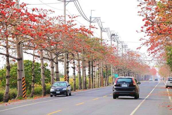 木棉花道： 【台南景點】將軍漚汪木棉花道，火辣辣的火紅時刻，來感受陷入紅色花海的浪漫景色，享受眼前最棒的微醺美景吧