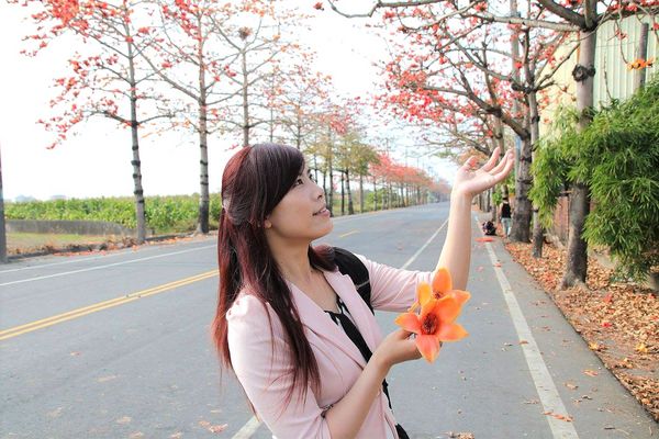 木棉花道： 【台南景點】將軍漚汪木棉花道，火辣辣的火紅時刻，來感受陷入紅色花海的浪漫景色，享受眼前最棒的微醺美景吧