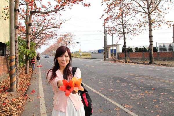 木棉花道： 【台南景點】將軍漚汪木棉花道，火辣辣的火紅時刻，來感受陷入紅色花海的浪漫景色，享受眼前最棒的微醺美景吧