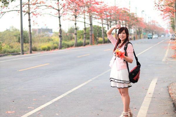 木棉花道： 【台南景點】將軍漚汪木棉花道，火辣辣的火紅時刻，來感受陷入紅色花海的浪漫景色，享受眼前最棒的微醺美景吧